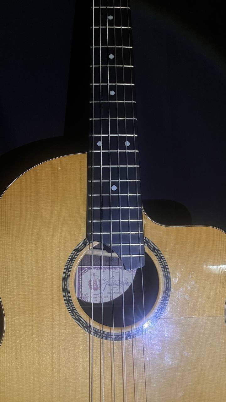 Vladimir Nanaktaev's guitar